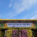 익산 천만송이 국화축제 구경도 하고 스탬프 투어 경품 후기