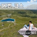 스위스 융프라우 여행코스 37번 트래킹 가는법 힐링 하이킹 소요시간 후기