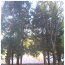＠ 늦가을에 즐기는 고적한 산사 나들이 ~ 경남 제일의 고찰 연화산 옥천사 (연화산 숲길) 이미지