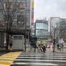 이영자 | 광화문 카이센동 맛집 일품 이영자픽 후기