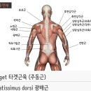 티바이오(주) 이미지