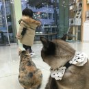 하늬동물병원 이미지