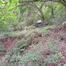 디바인성형외과의원 이미지