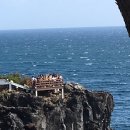 성하는지금/제주_2(그린정, 주상절리, 리틀포레스트, 마노르블랑, 갯깍주상절리, 비브레이브, 미도호스텔)