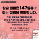 내몸날다