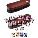 구두관리 말털 브러쉬 콜로닐 구두솔 사용후기