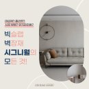 광산구-005 | 동화 디자인월의 무려 3배? 빅슬랩 시그니월 시공법, 관리법 등 모든 것!