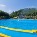 신흥수영장 이미지