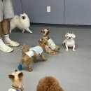 전주유치원 이미지