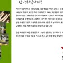 양지-3165 이미지