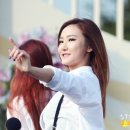 인삼광장 이미지