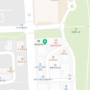 설렘가득담아눈부시개