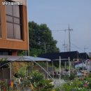양수리힐링캠프