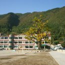 정선초등학교 이미지