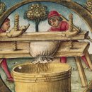 ​고대부터 전해지는 마늘의 매혹적인 사용 이미지