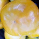 안골농장 이미지