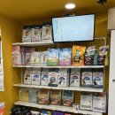 아무도없개 이미지