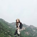 🎂🍬2026년 젊은느티나무 창립15주년 산행 관악산코스🍬🎂 이미지