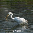 광주광역시 야생동물구조관리센터 이미지