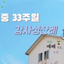 연중 33주일 감사성찬례 - 11월 14일, 2021년 이미지