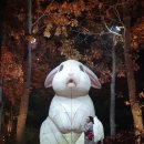 더웰봄빛치과의원 이미지