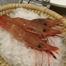 스시키타이 이미지