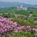 풍기면옥 이미지