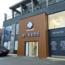 오래오래동물병원 네이버블로그