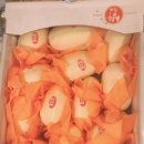 오부자청과 이미지