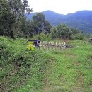 고제면 봉계리 이미지