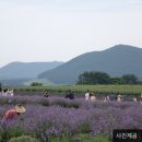 가득농장 이미지