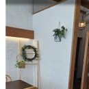 반올림피자샵 포항효자점 | 포항 유강 앨리스 테이블 내돈내산 후기