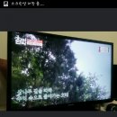 보헤미안 민박 이미지