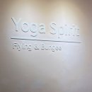 아쉬탕가 요가 | [동탄 아쉬탕가 요가 후기] 요가스피릿 플라잉&amp;번지피지오 한 달 수강, 몸과 마음이 달라졌어요!