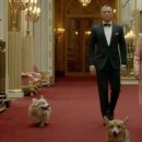 마린동물병원 이미지