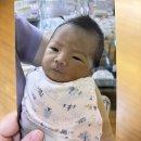 콜세탁 | 위대한탄생 산후조리원 후기] 산후마사지 전후비교...추천 /신생아실 수유콜 /무료사진 셀픽 2장뽑는 팁