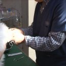 중동동물병원 이미지