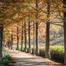 주)유니온푸드 이미지
