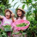 기쁨축산 이미지