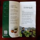 농업회사법인 서당골 | [농업회사법인 가시버시] 맛짱 비건 열무감자김치 후기 (일품이로다)