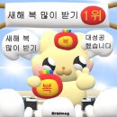 굿모닝소도구필라테스 | 필라테스 자격증 kpee 필라테스 3주차 수업 후기