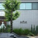 김경미헤어 - 남구 수암로115번길 11 | 다이렉트 박람회 스튜디오 상담 후기 (최종 뷰시엘 스튜디오)