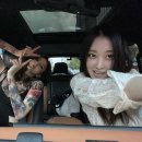 니네일 이미지
