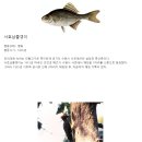 한국에서 멸종된 동물들 이미지