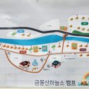 금물산하늘소캠프 이미지