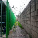 엘에스로45번길 Daum카페