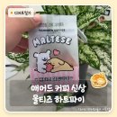 하트커피 | 매머드커피 신메뉴 몰티즈 하트파이 솔직 후기