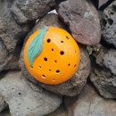 해안펜션 이미지