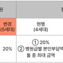 실비