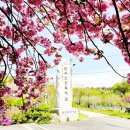 만수노인복지원 이미지